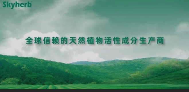 多年不懈努力，終獲官方青睞！